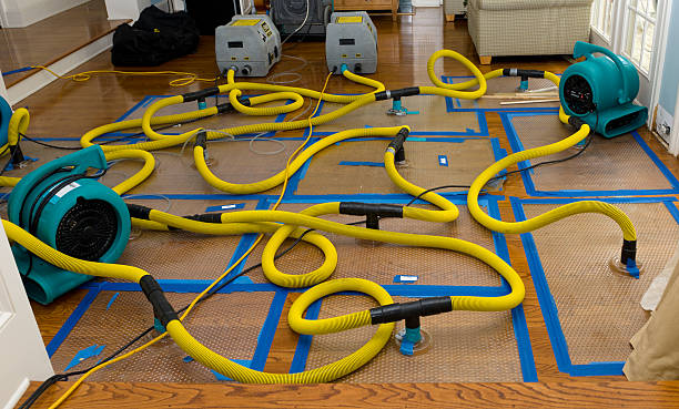 Professional Basement Flood Cleanup technician working in Eveleth, MN